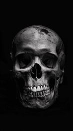 Creepy Evil Skull Photos for Your Mobile Screen