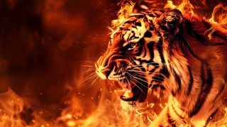 Explore Free Fire Tiger Wallpaper for Stunning Screens