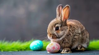 4K Wallpaper for Desktop: Cute Bunny Easter Theme