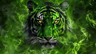 High-Definition Green Fire Tiger Desktop Background