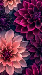 Themed Hot Pink Flower Wallpapers for Mobile Screens