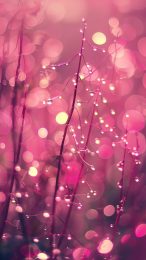 Cool Hot Pink Pictures: Free Wallpaper for Mobile Screens