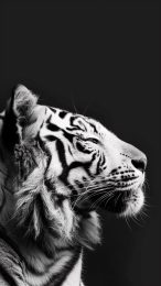 Fierce and Elegant White Tiger Digital Wallpaper