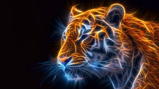 Beautiful 4K Digital Background: White Tiger Theme