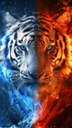 High-Resolution Fire and Ice Tiger Wallpaper for iPhone