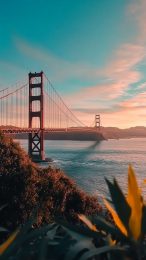 Customize Your Phone with Golden Gate Bridge Photo Background