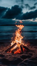 Stunning Beach Campfire HD Mobile Wallpapers for iPhone