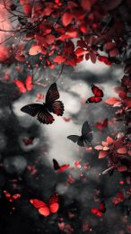 Vibrant Black-and-Red Butterfly Image for Mobile Screens