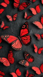 Captivating Black-and-Red Butterfly Photos for iPhone Users