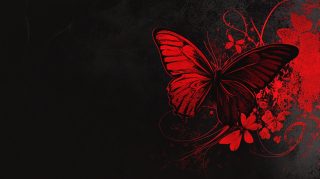 Vibrant Black and Red Butterfly Pictures for Desktop