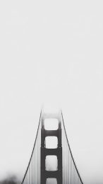 Stylish Black and White Golden Gate Wallpaper for Android