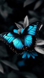 Stunning Blue Flower and Butterfly Mobile Wallpaper for iPhone