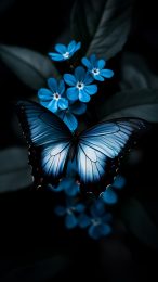 Breathtaking Blue Flower and Butterfly Picture for Android