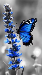 Aesthetic Blue Flower and Butterfly Mobile Wallpaper Download