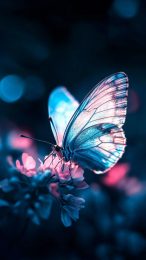 Vibrant Blue Flower and Butterfly Pictures for Mobile Devices