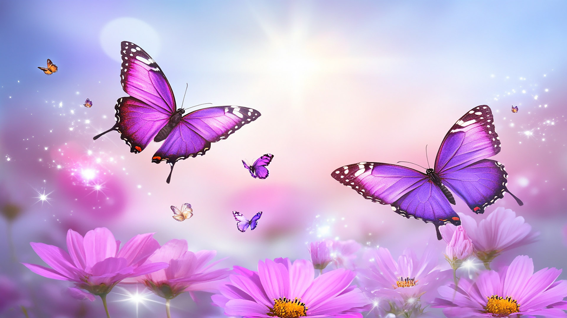 High-Quality 4k Butterfly and Flower HD Pictures