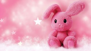 HD Wallpaper of Cute Pink Bunny for Your Desktop