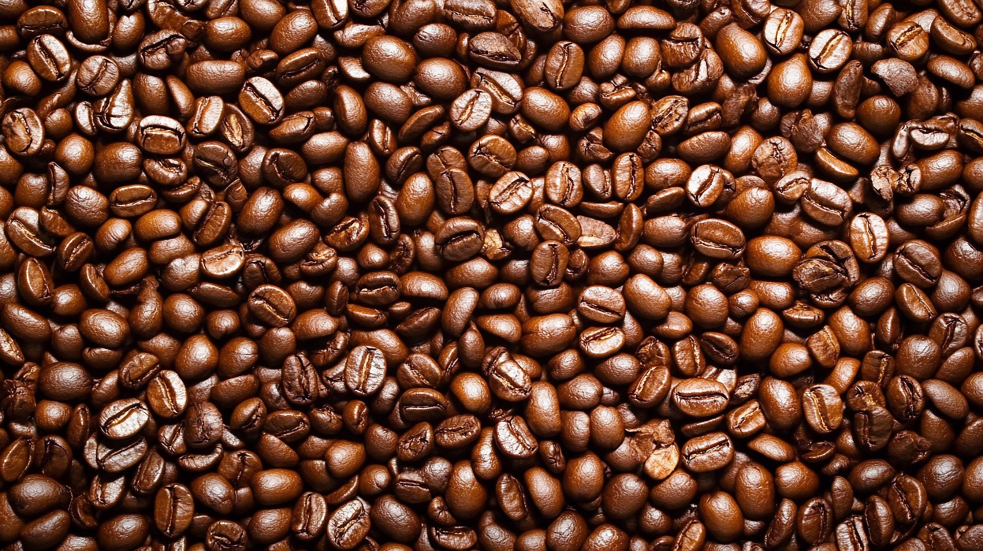 Captivating 8K Coffee Bean Photos for Background