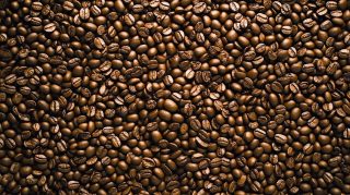 Breathtaking Coffee Bean Stock Photos for HD Wallpaper