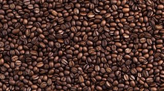 Vibrant Coffee Bean HD Pics for Digital Background