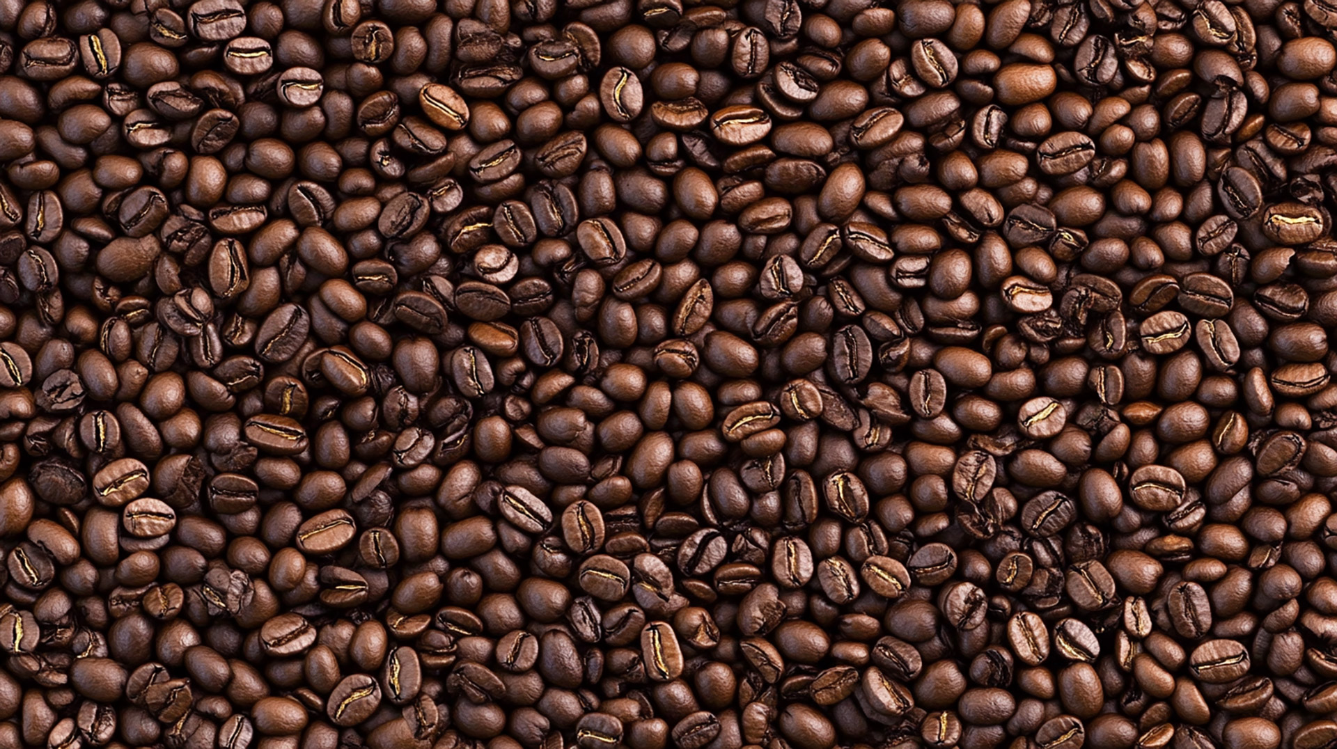 Vibrant Coffee Bean HD Pics for Digital Background