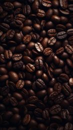 Download Free Coffee Bean Digital Background for Android