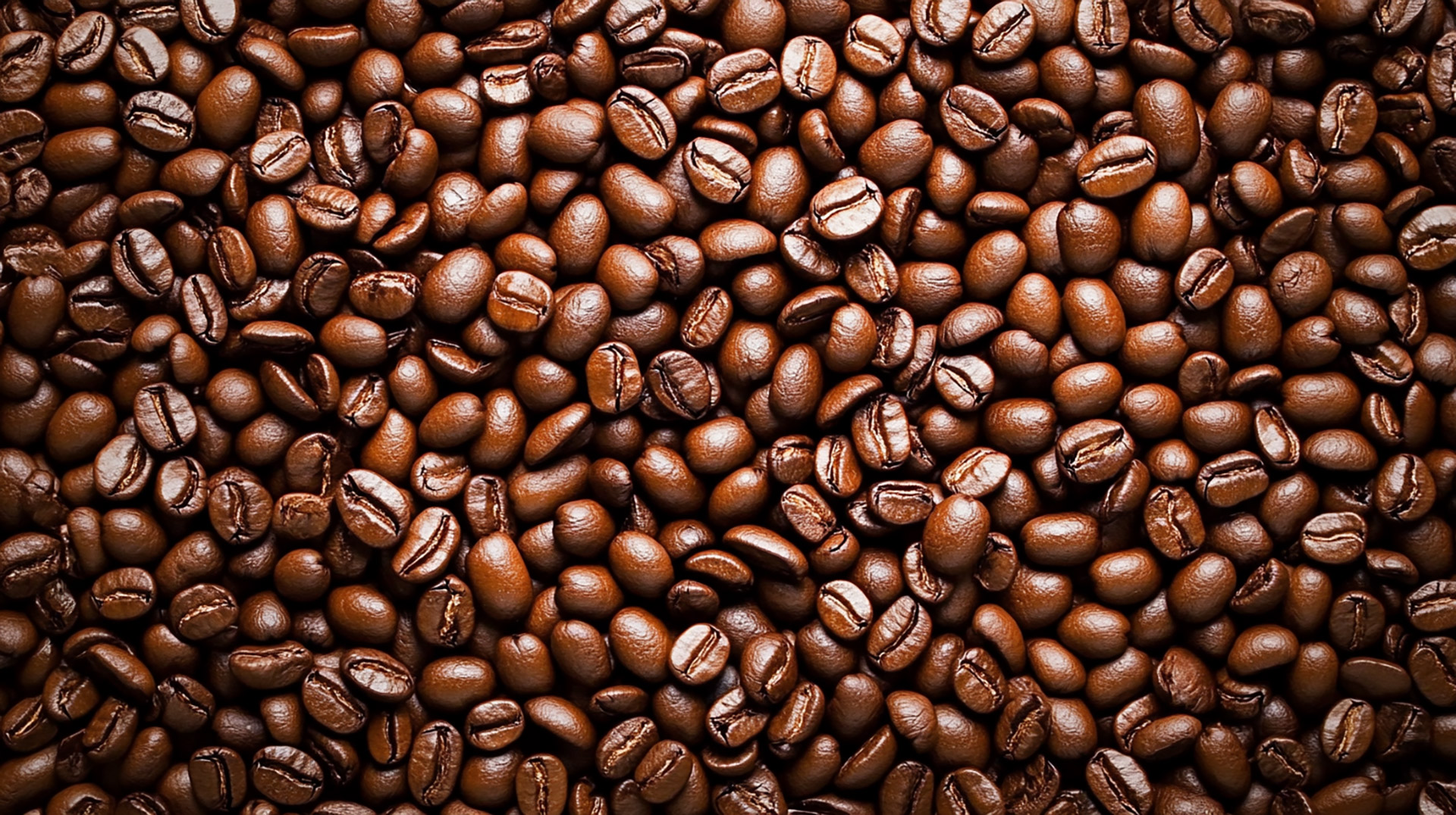 High-Definition Coffee Bean Photos for Your Desktop