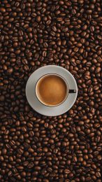 Explore Coffee Cup Mobile Wallpapers for Android Devices