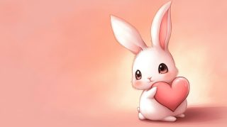 Free HD Bunny Wallpaper in Ultra HD Quality