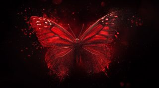 Dark Red Butterfly Wallpaper for Stunning Desktop Background