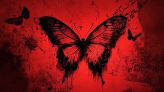 Vibrant Dark Red Butterfly Pictures for Free Download