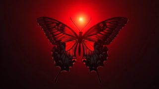 Ultra HD Dark Red Butterfly Pics for Desktop