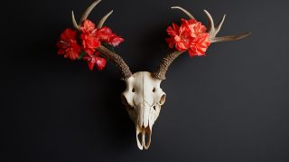 Pictures of Deer Skull with Floral Design for PC