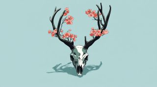 Download Free Wallpaper for Desktop: Deer Skull Theme