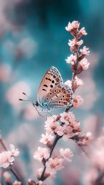 Nature-Inspired iPhone Wallpaper with Flowers and Butterflies