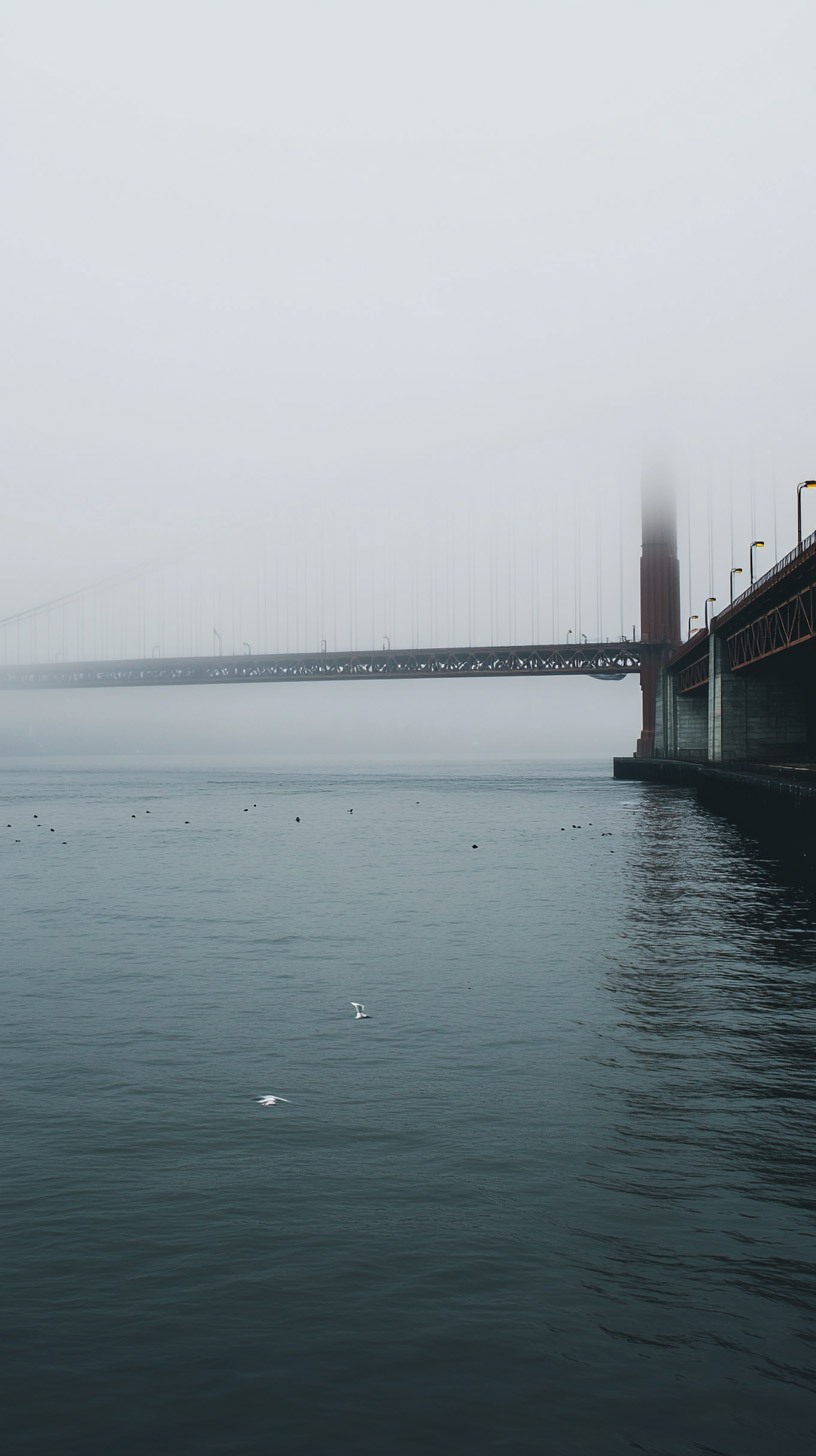 Download HD Golden Gate Bridge Wallpaper for All Smartphones