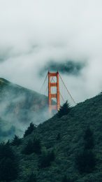 Calm Foggy Views of Golden Gate Bridge Mobile Pictures