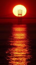 Beautiful Digital Background: Golden Gate Bridge at Dusk