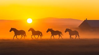 Breathtaking Horse Ranch HD Pics for Desktop Background