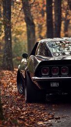 Upgrade Your iPhone with Muscle Car HD Pictures