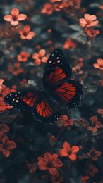 Download Free Butterfly Mobile Wallpaper for iPhone