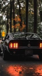 Muscle Car Photo Collection for Mobile Display