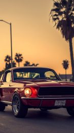 Old Mustang Car HD Mobile Wallpaper for iPhone Users