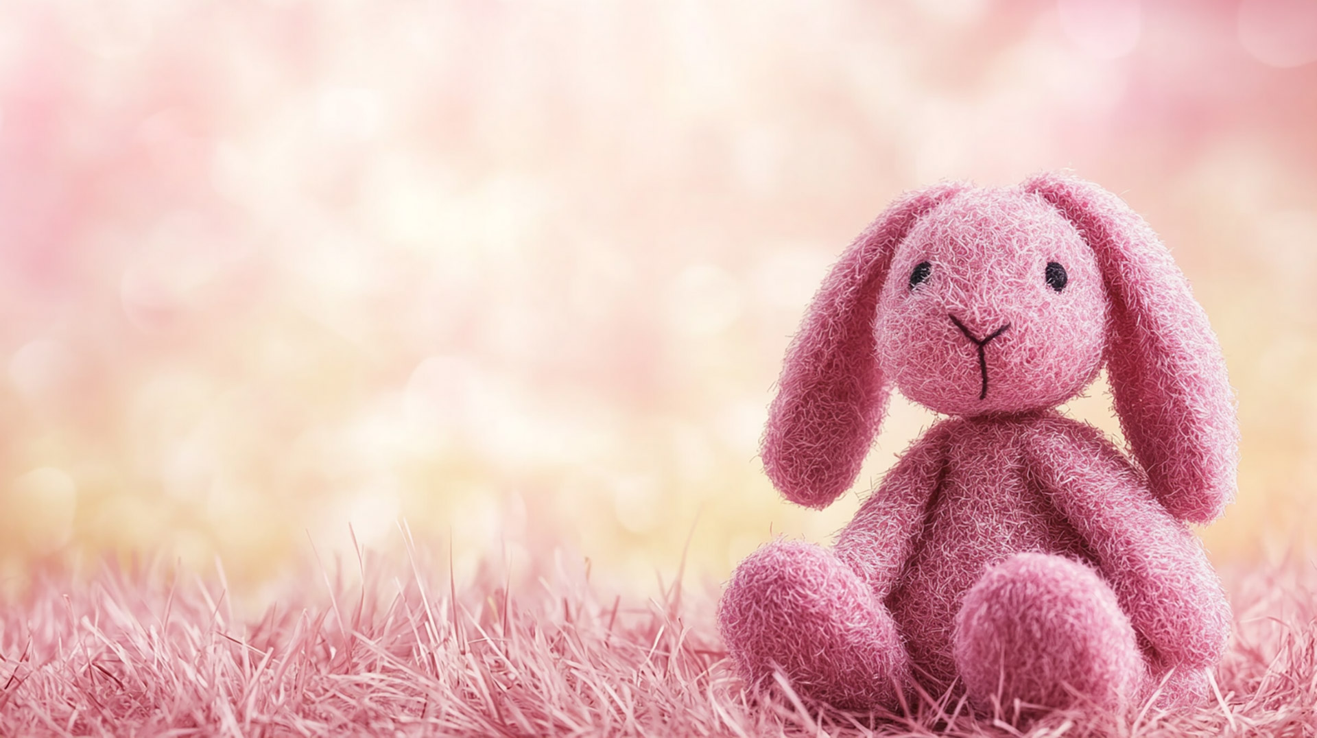 AI Wallpaper: Beautiful Pink Bunny Designs in 16:9 Format