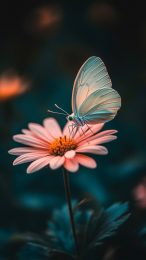 Stunning HD Pink Flower and Butterfly Mobile Wallpaper