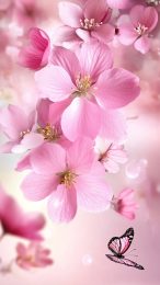 Beautiful Pink Flower Wallpaper for Mobile Devices