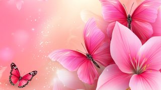 Explore Free HD Pics of Pink Flower and Butterfly