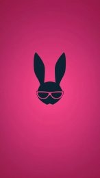 Vibrant Pink Playboy Bunny Digital Backgrounds in 9:16