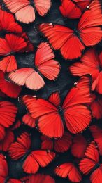 Stunning HD Red Butterfly Wallpaper for Mobile Devices