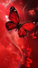 High-Quality Red Butterfly Image for Your Smartphone